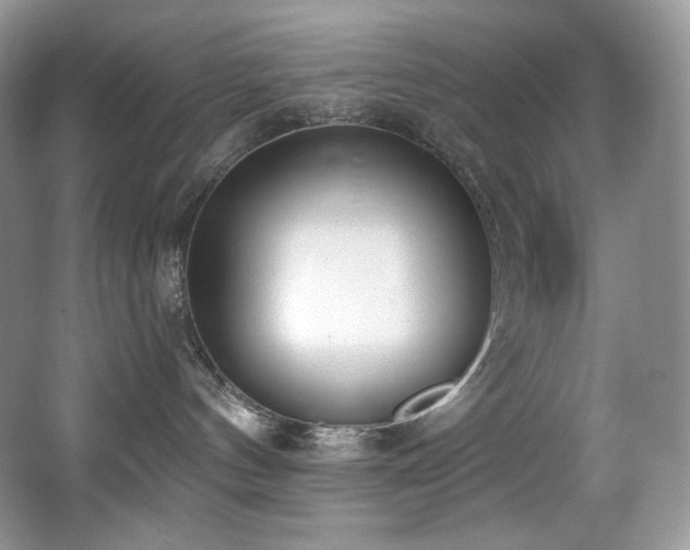 X0000067940144200604131458