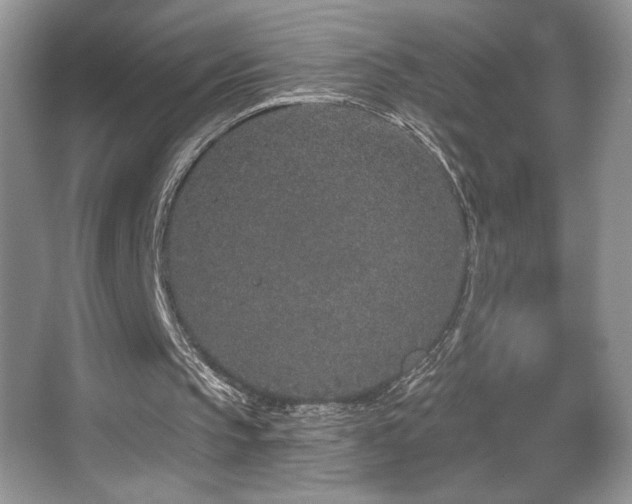 X0000067940145200604131457