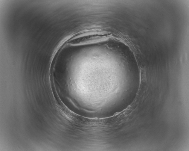 X0000067940147200604131458