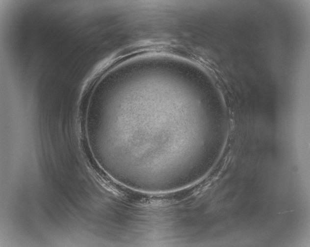X0000067940149200604131458