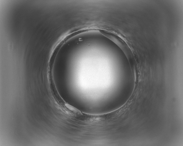 X0000067940152200604131458