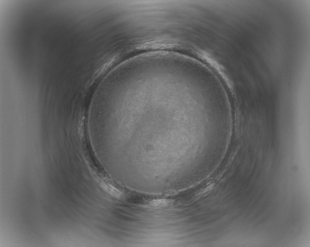 X0000067940153200604131458