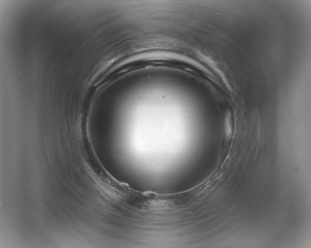 X0000067940154200604131458