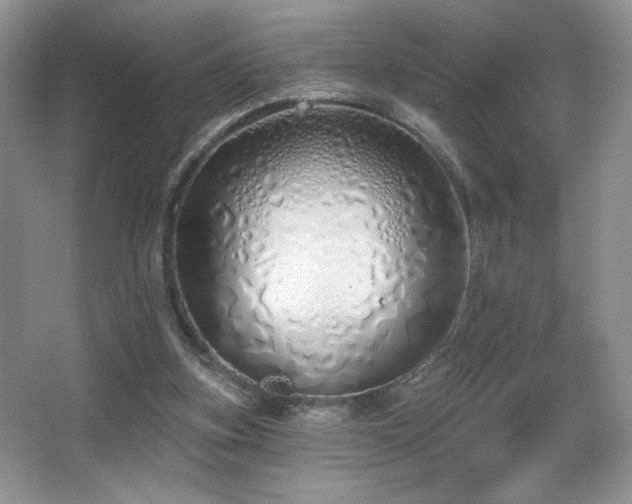 X0000067940155200604131458
