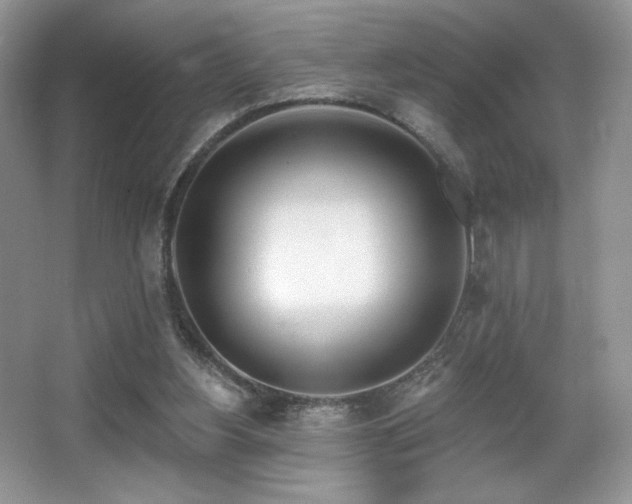 X0000067940156200604131458