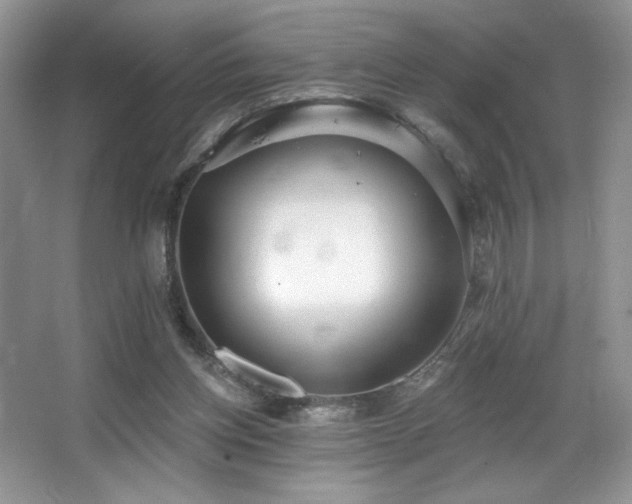 X0000067940158200604131458