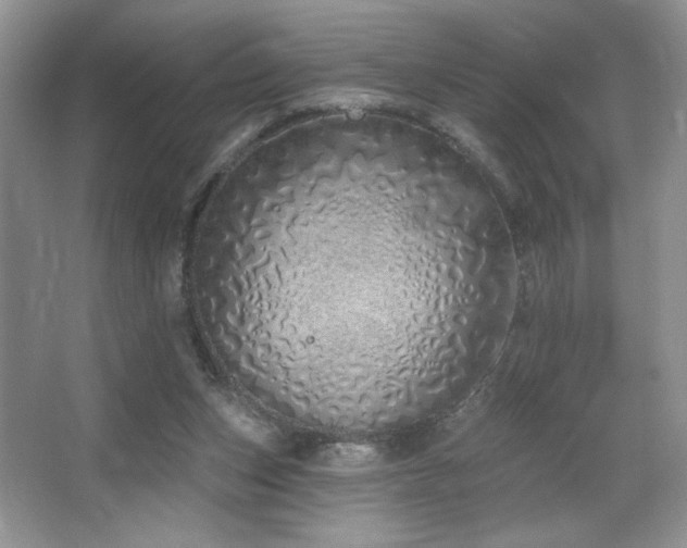 X0000067940159200604131458