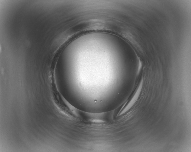 X0000067940160200604131458