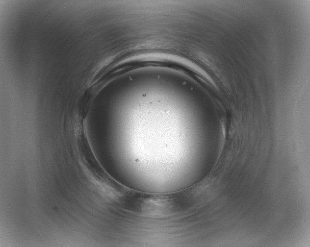 X0000067940164200604131458