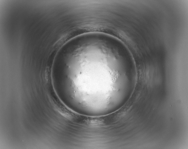 X0000067940165200604131458