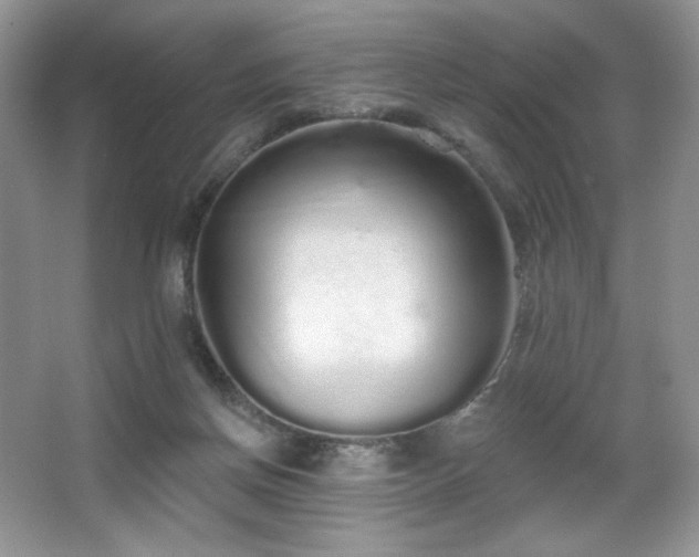 X0000067940166200604131458