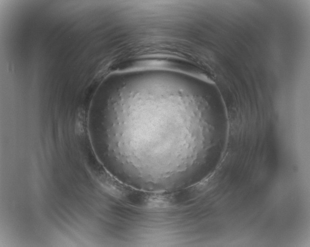 X0000067940175200604131458