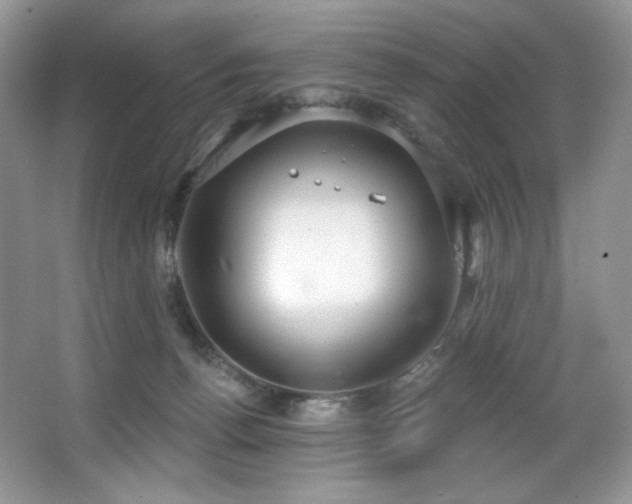 X0000067940176200604131458