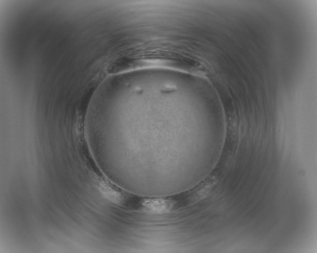 X0000067940181200604131458