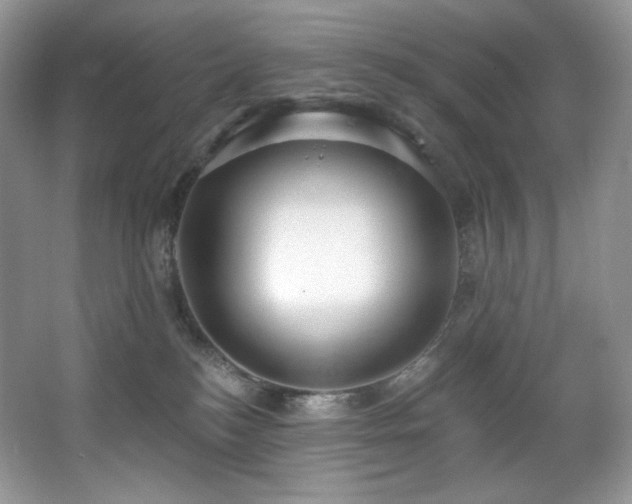 X0000067940184200604131458