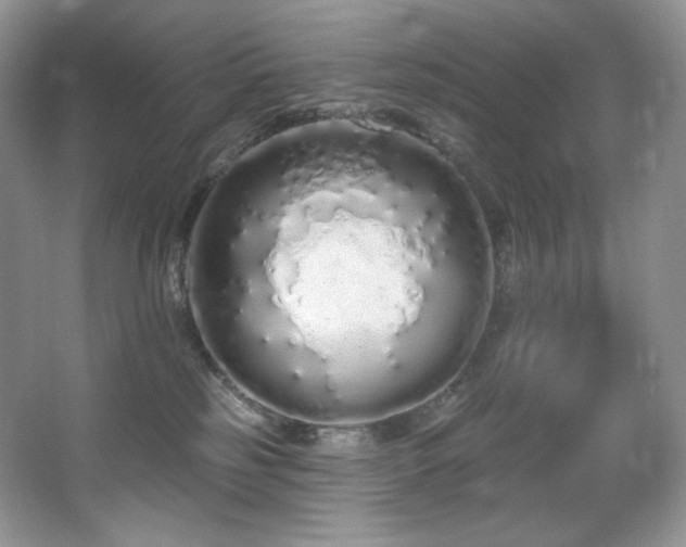 X0000067940185200604131458