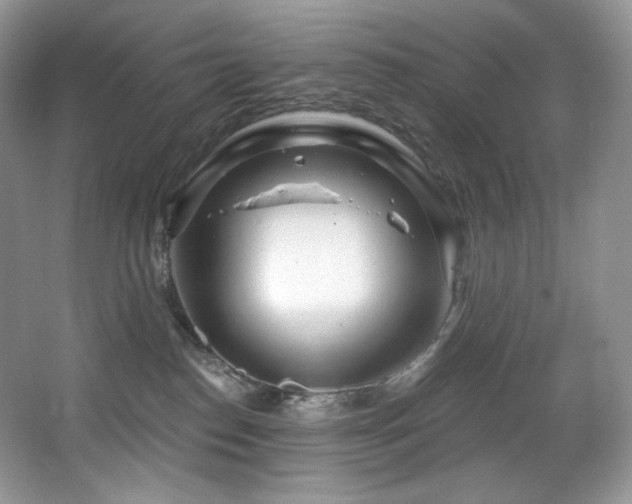 X0000067940186200604131458