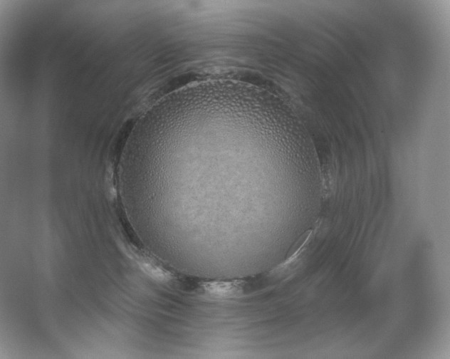 X0000067940187200604131458