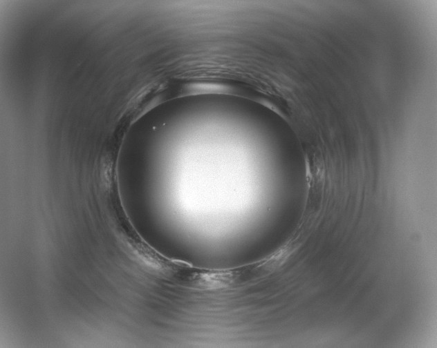 X0000067940188200604131458