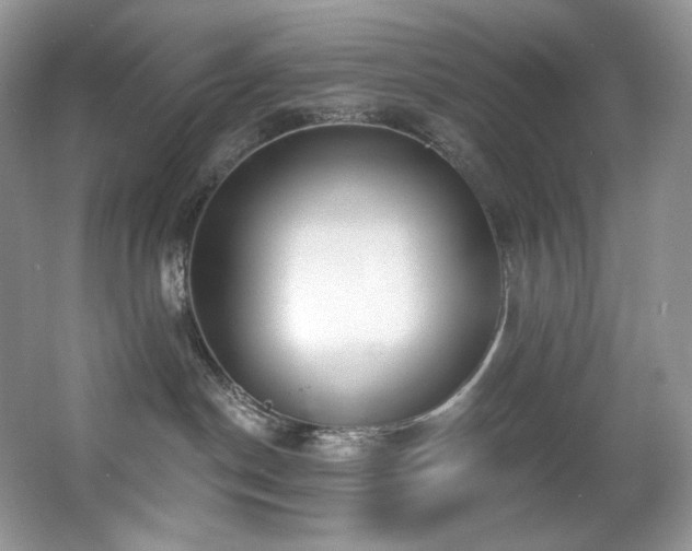 X0000067940190200604131458
