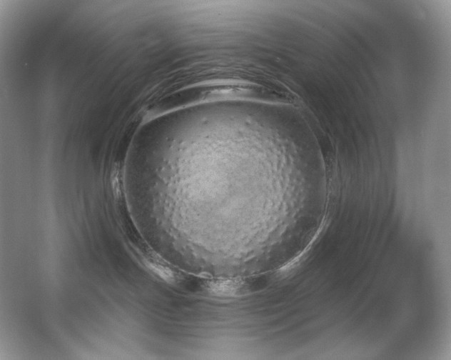 X0000067940191200604131458