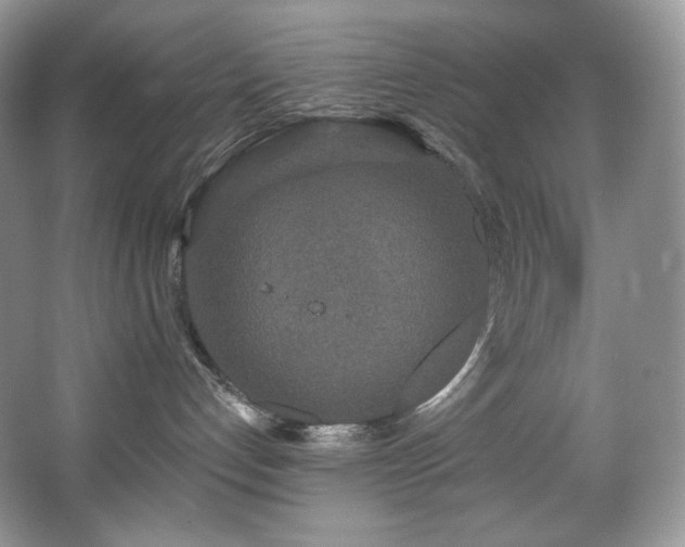 X0000067940192200604131458