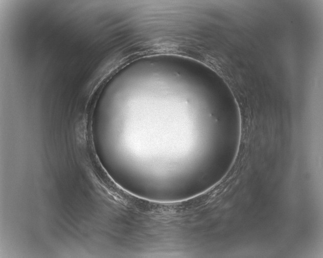 X0000067940194200604131457