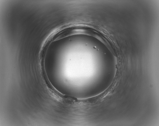 X0000067940197200604131457