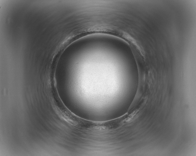 X0000067940203200604131457