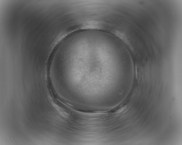 X0000067940204200604131457