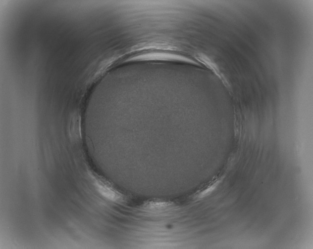 X0000067940205200604131457