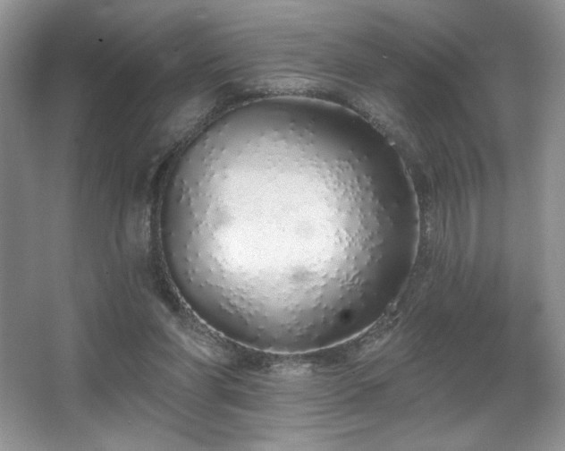X0000067940206200604131457