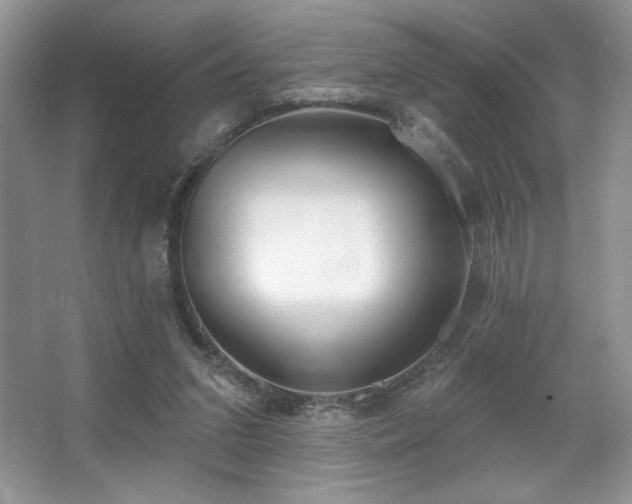 X0000067940207200604131457