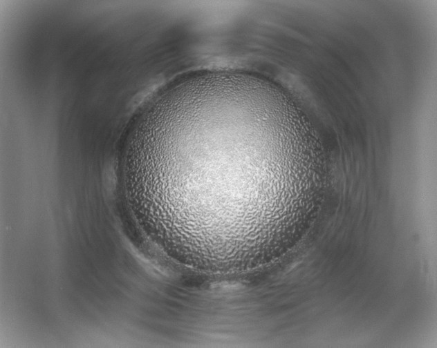 X0000067940208200604131457