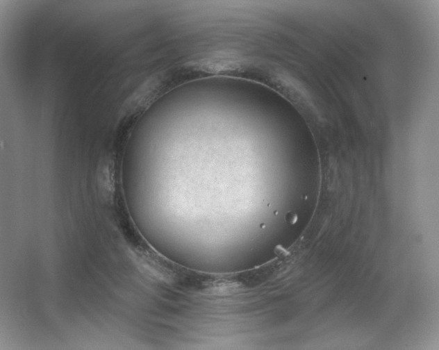 X0000067940210200604131457