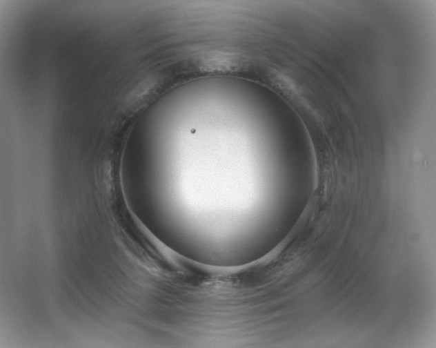 X0000067940211200604131457