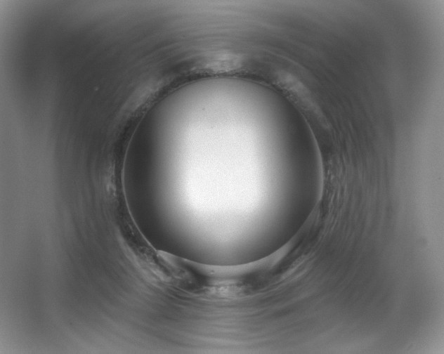 X0000067940212200604131457