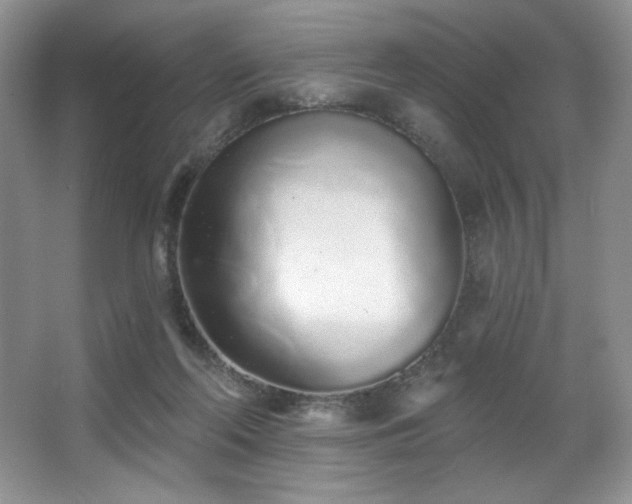 X0000067940214200604131457