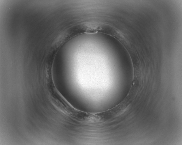 X0000067940215200604131457