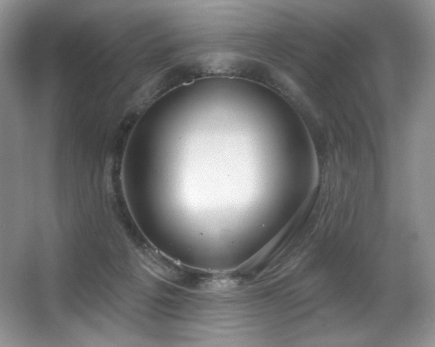 X0000067940217200604131457