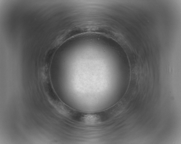 X0000067940218200604131457