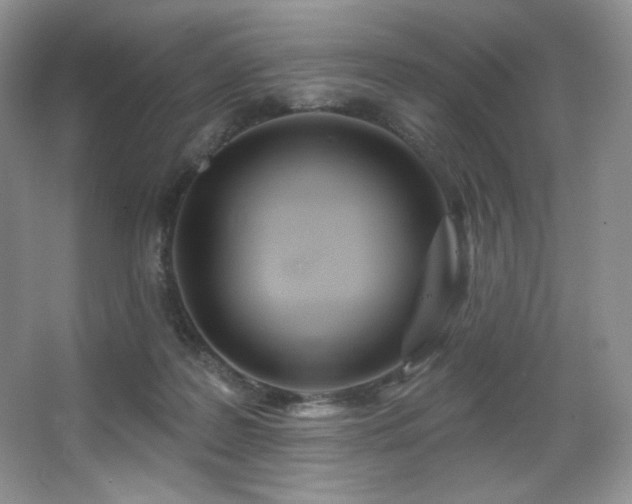 X0000067940219200604131457