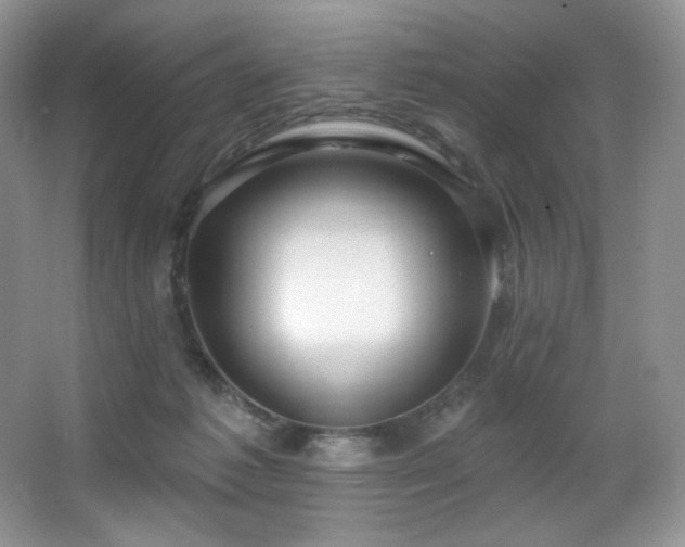 X0000067940221200604131457