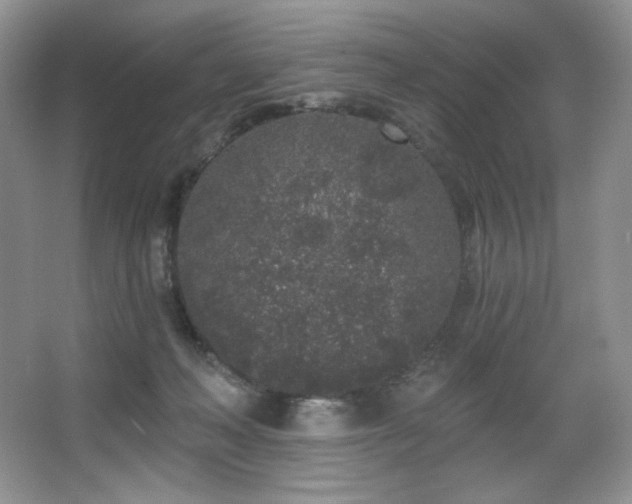 X0000067940222200604131457