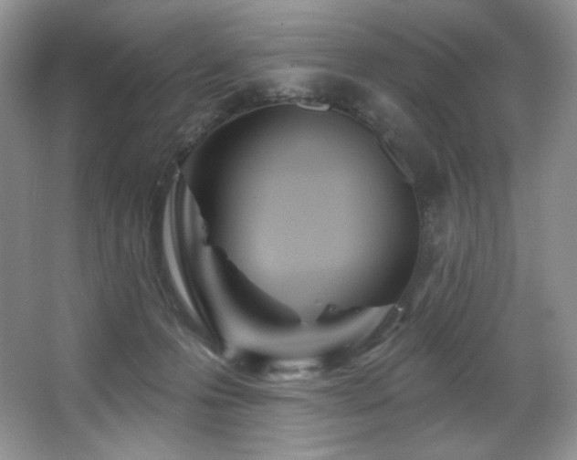 X0000067940223200604131457