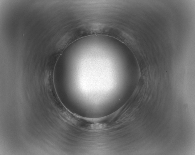 X0000067940225200604131457