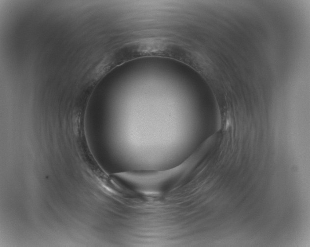 X0000067940227200604131457