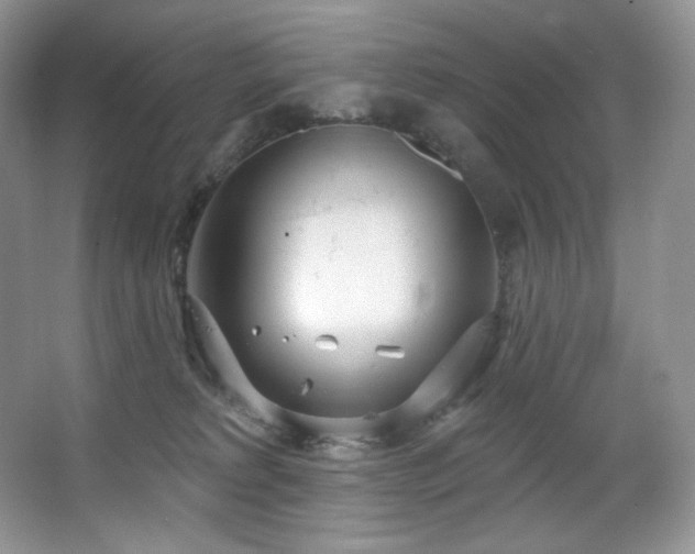 X0000067940229200604131457