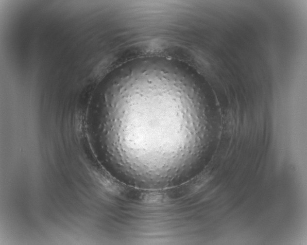 X0000067940230200604131457