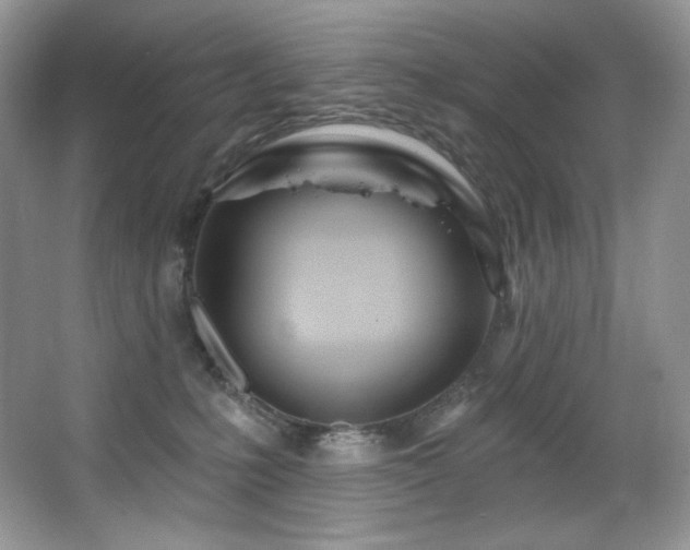 X0000067940231200604131457